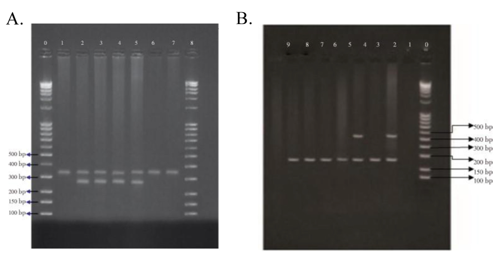 Clinical Characterization article image
